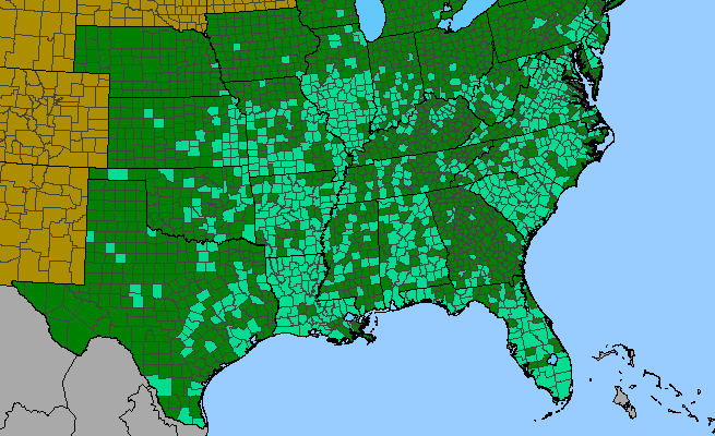 The range of Amaranthus spinosus